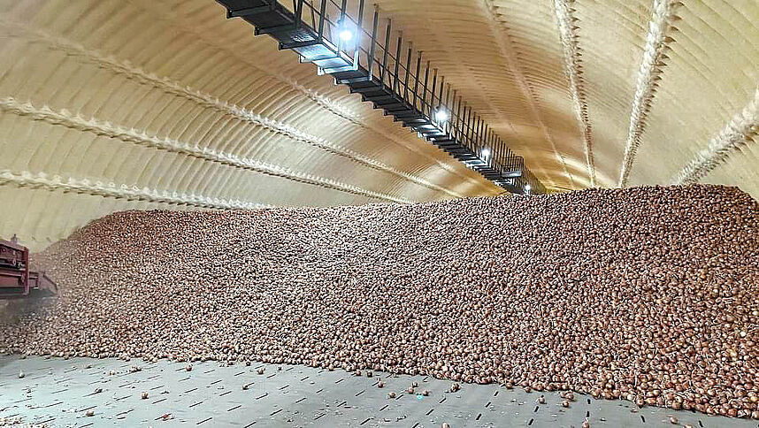 Onion storage full of onions with air floor ventilation system